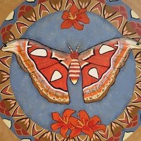 Atlas Moth and Tiger Lilies- Original Mandala Painting 12x12