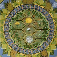 Cycles of Life - Original Mandala Painting - Turtle with Dandelions 12x16